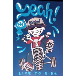 Caiet A5, 48 file, foi veline, copertă color diverse modele